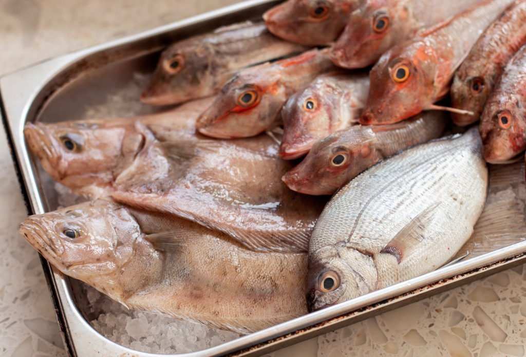 Uncooked fish from Bonnie Gull