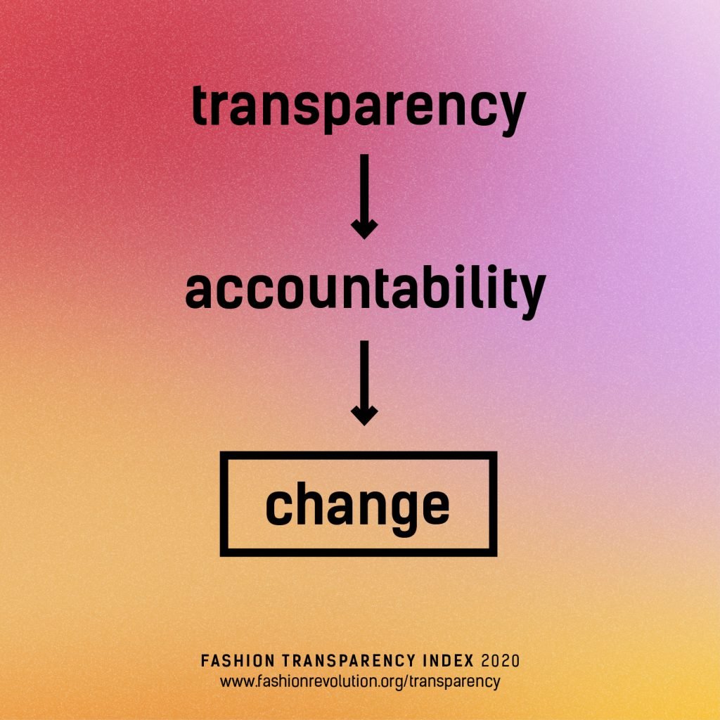 Infographic: Transparency to Accountability to Change